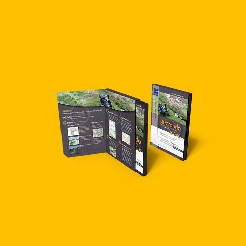 Pagination